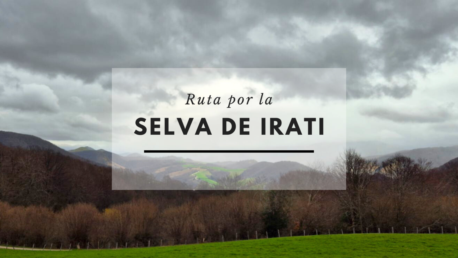 ruta-por-la-selva-de-irati-viajando-el-mapa